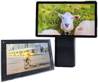 Meta Facebook Portal syncing pictures